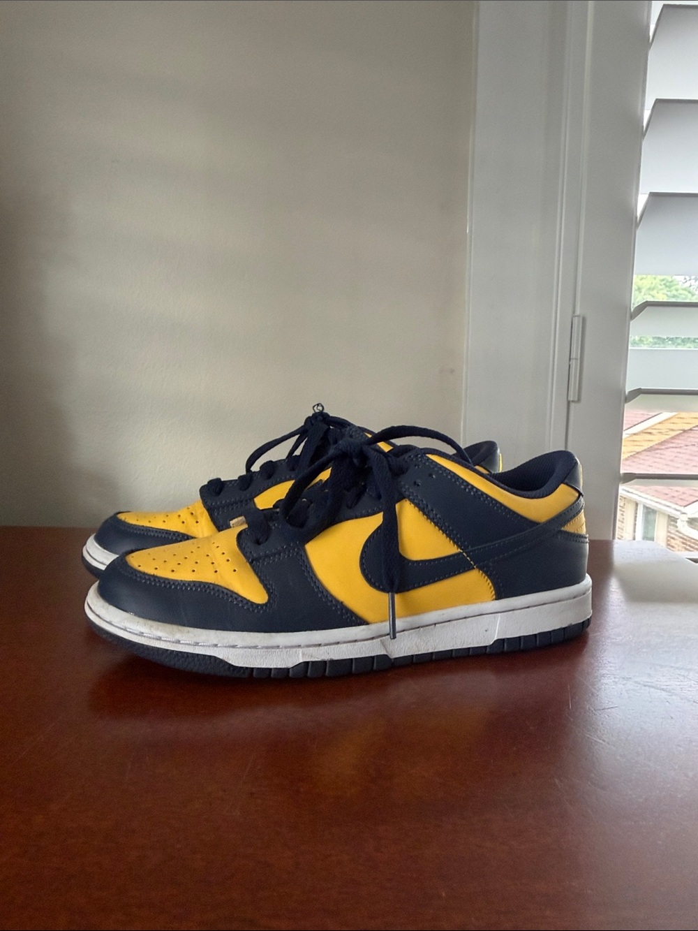 Nike Dunk Low Michigan